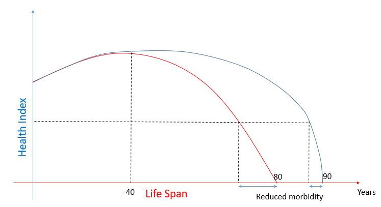 Longevity is the Game